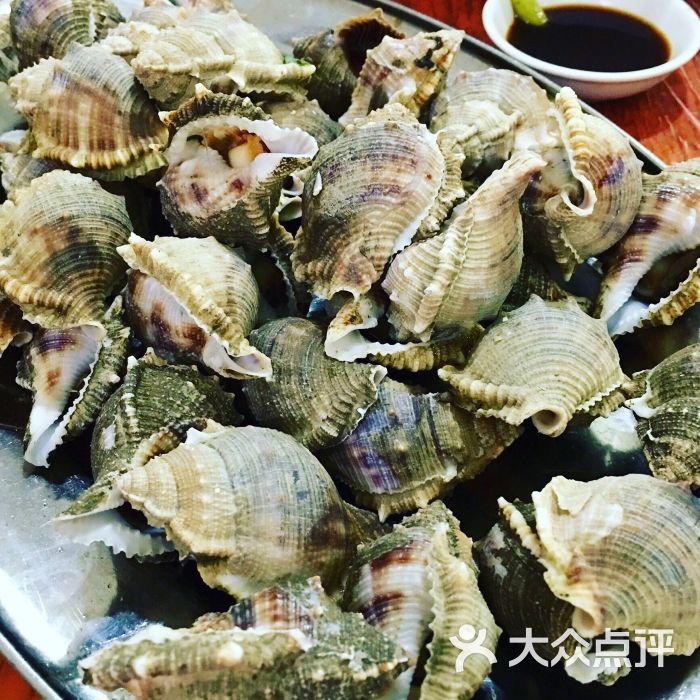 巽寮湾新欢海鲜大排档(新欢美食城店)多味白灼角螺图片 - 第3334张