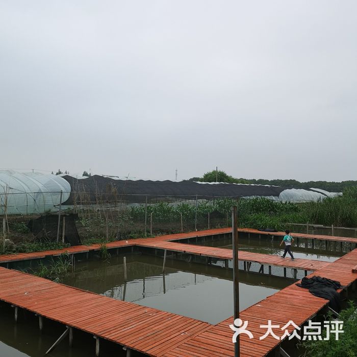 左福农家乐休闲垂钓采摘中心