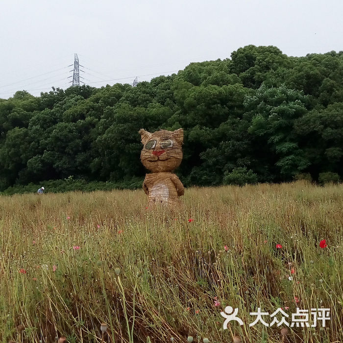 梅园横山风景区