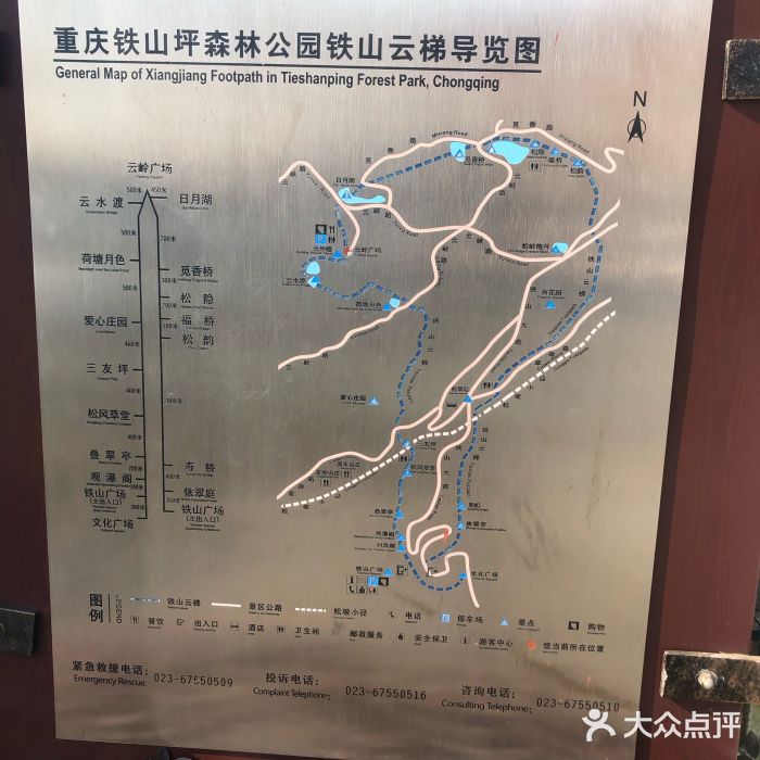 铁山坪森林公园图片