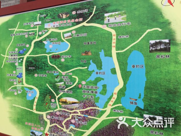 青松岭森林公园-图片-东海县周边游-大众点评网