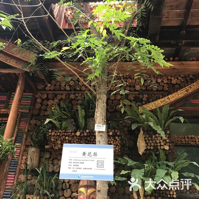 呀路古热带植物园