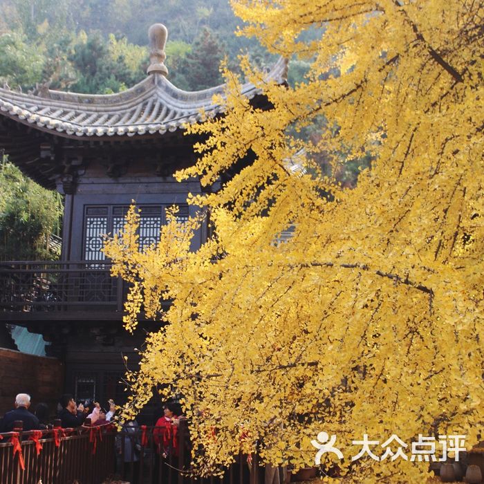 古观音禅寺