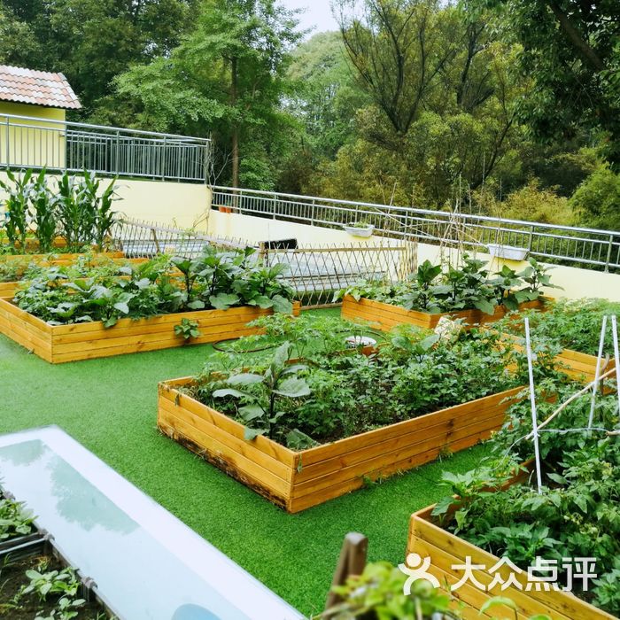 贝格花园幼稚园图片-北京民办幼儿园-大众点评网