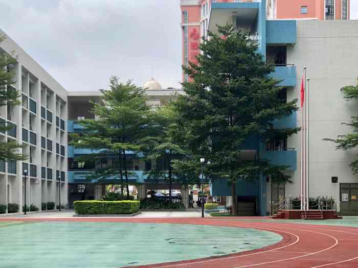 广州昌岗中路小学(翠城校区)-"18年底偶然的机会进入这间昌岗中路小学