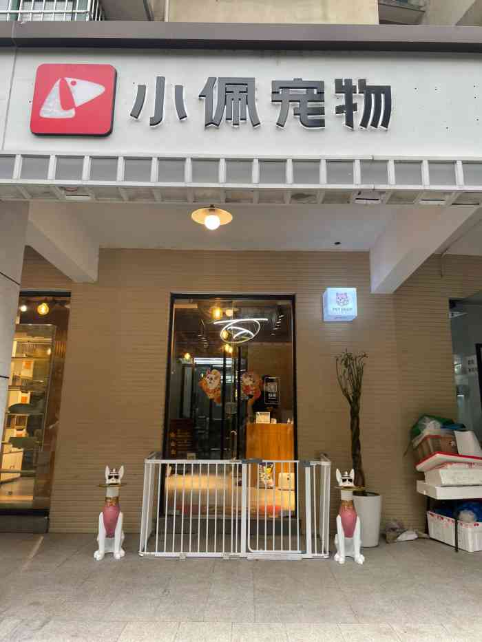 小佩宠物店·猫舍·金渐层矮脚曼基康(行知路店【项目】其他想过来