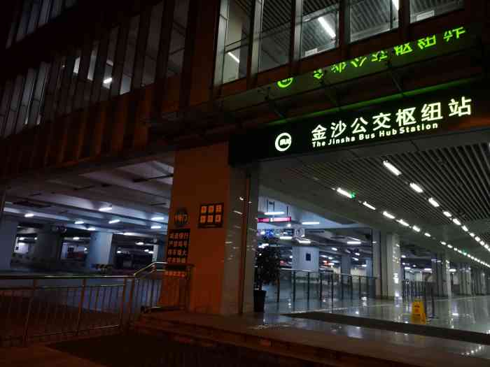金沙汽车站"深冬经过…看见满满的黄叶.94忍不住拍了.