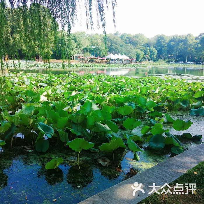 东湖生态旅游风景区图片-北京其他景点-大众点评网