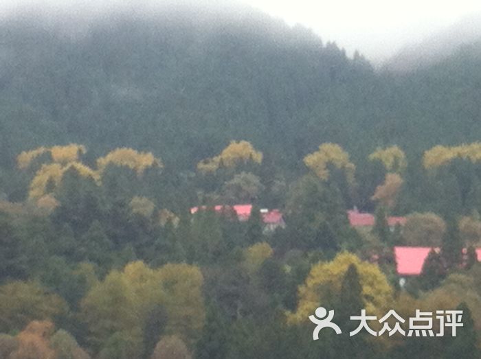 山上的风景照片分享 bK132qrBzpwBI9XbOk5TYzf6lioxLT_Co739okAUx-MZWk8eZQMRW2FeuVD9x_wbTYGVDmosZWTLal1WbWRW3A.jpg