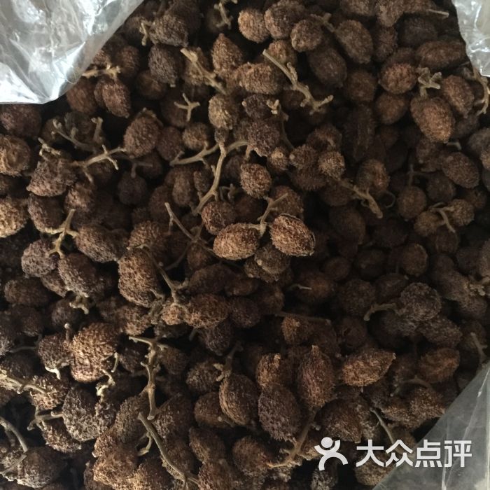 春砂仁