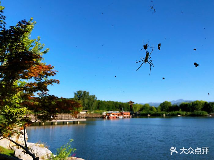 北京宽沟会议中心图片 - 第437张