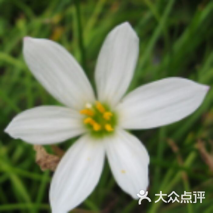 avatar_芊泽hd