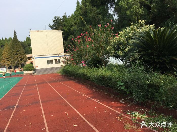 竹篙镇新华小学中心校-图片-金堂县学习培训-大众点评