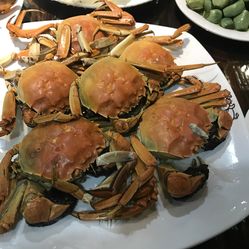 东港海鲜gdp_大连东港图片