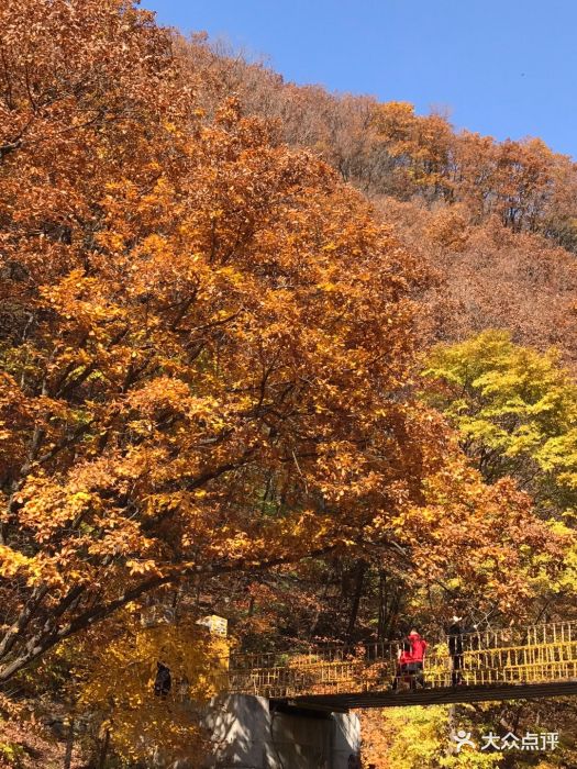 筐子沟原生态风景区图片 - 第24张