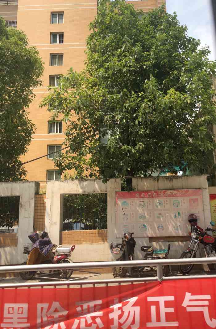 武汉市楚才中学-"武汉楚才中学位于汉阳区玫瑰街这块.