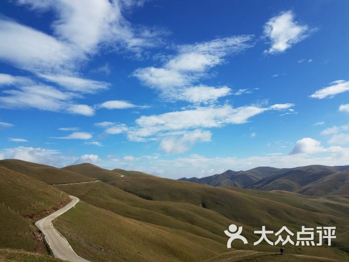 大海草山景点图片 第2张