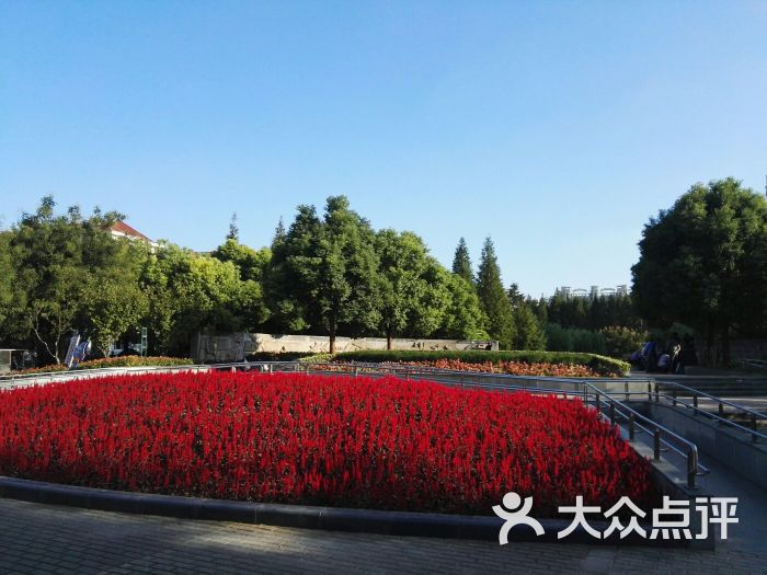 上南公园图片 - 第1张