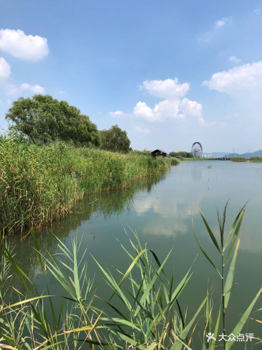 苏州太湖湖滨国家湿地公园图片 - 第1张