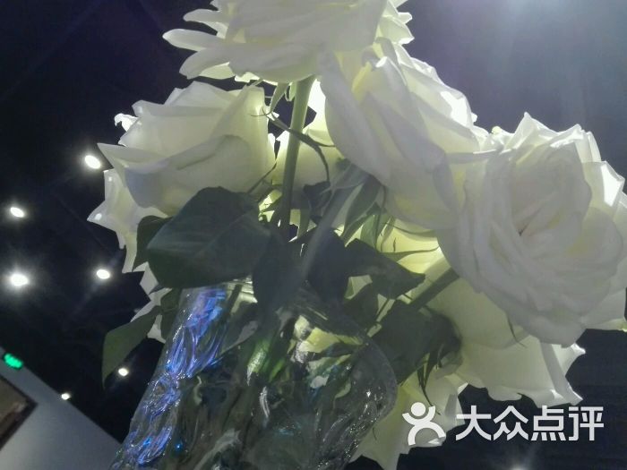 24小时即时健身(国展店)-图片-北京运动健身-大