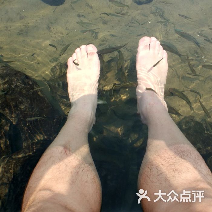久温塘冷泉图片-北京自然风光-大众点评网