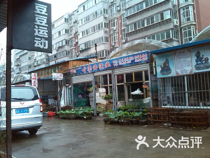 白佛花鸟鱼虫批发市场小型宠物交易(东区)图片 - 第1张