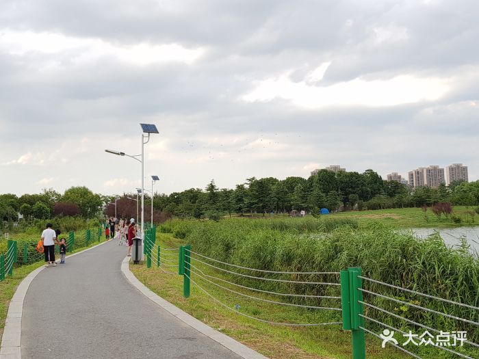 虎丘湿地公园图片