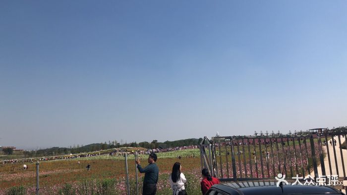 伏热花海庄园-图片-句容市景点/周边游-大众点评网