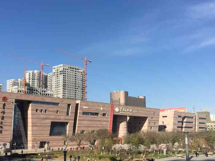 青海美术馆-"主体建筑和青海省图书馆,青海省美术馆.