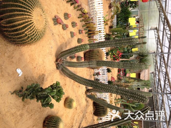 麒麟湾生态农庄-图片-泰州休闲娱乐-大众点评网