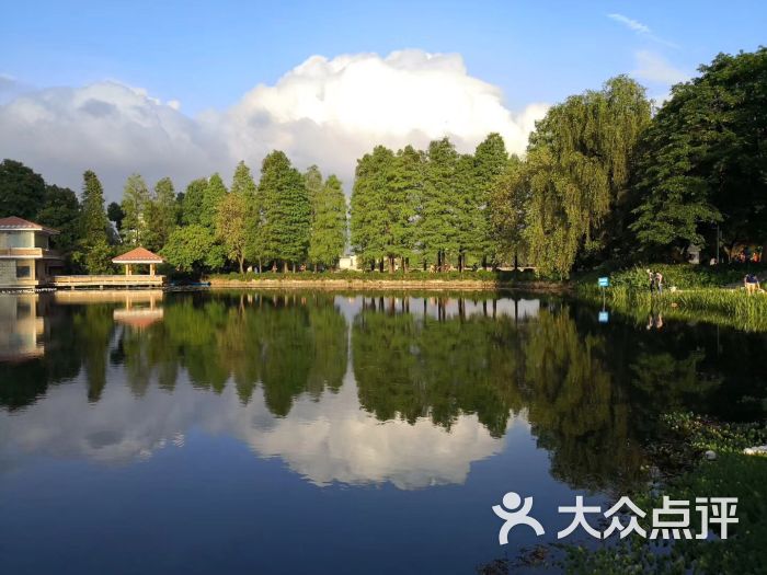 东山湖公园-图片-广州周边游-大众点评网