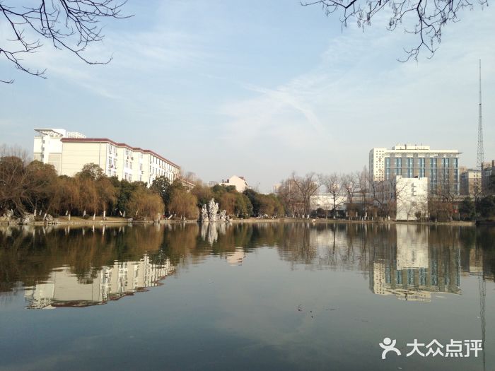 合肥工业大学(屯溪路校区)图片