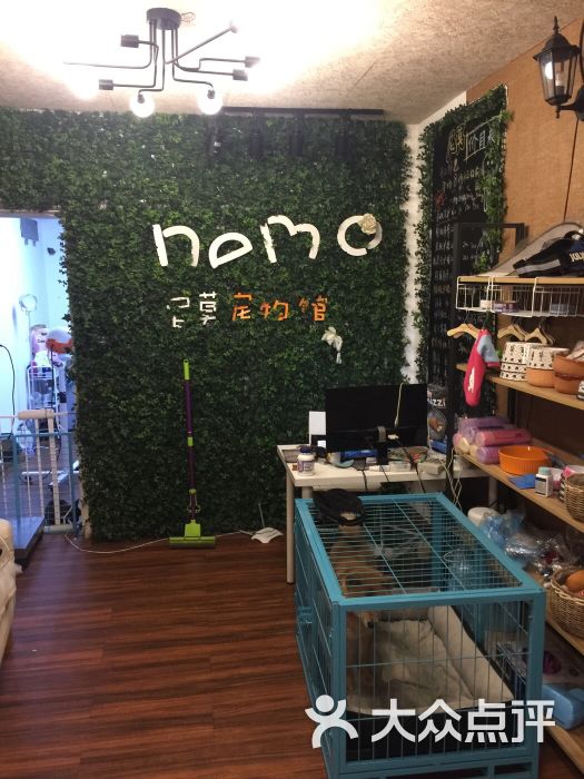 尼莫宠物馆-图片-上海宠物