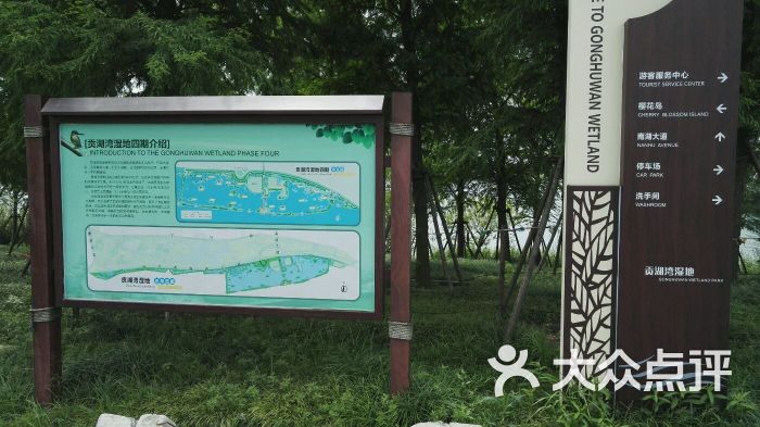 贡湖湾湿地公园图片 - 第3张