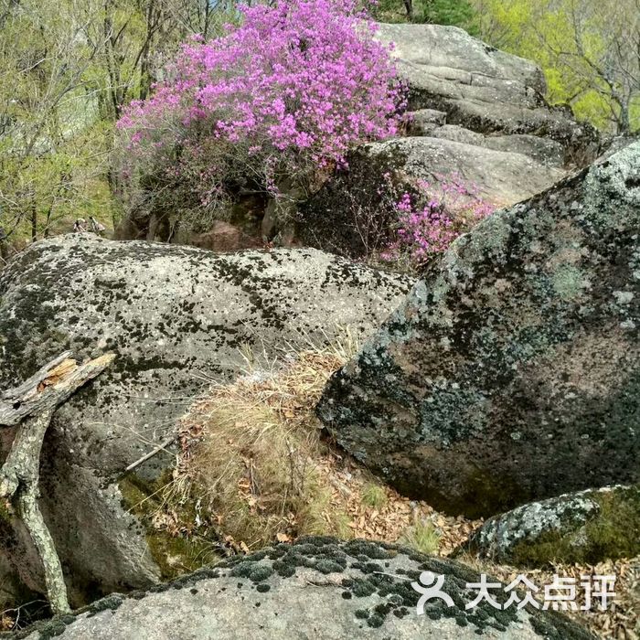 松峰山景区