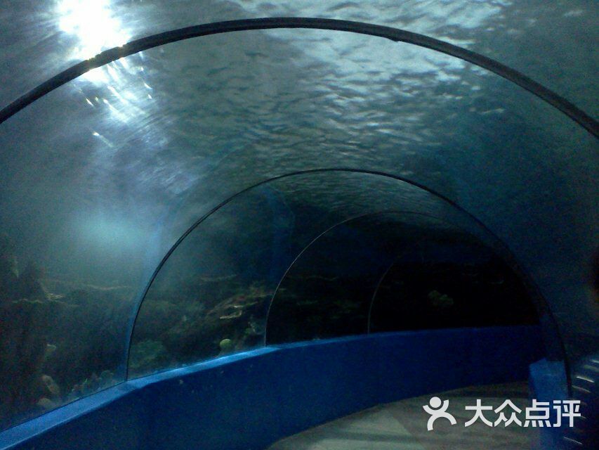 蠡湖中央公园海底世界