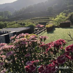 杭州城区人口多少人口_杭州人口净流入趋势图(3)