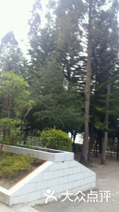 凤山公园-图片-凤庆县周边游-大众点评网