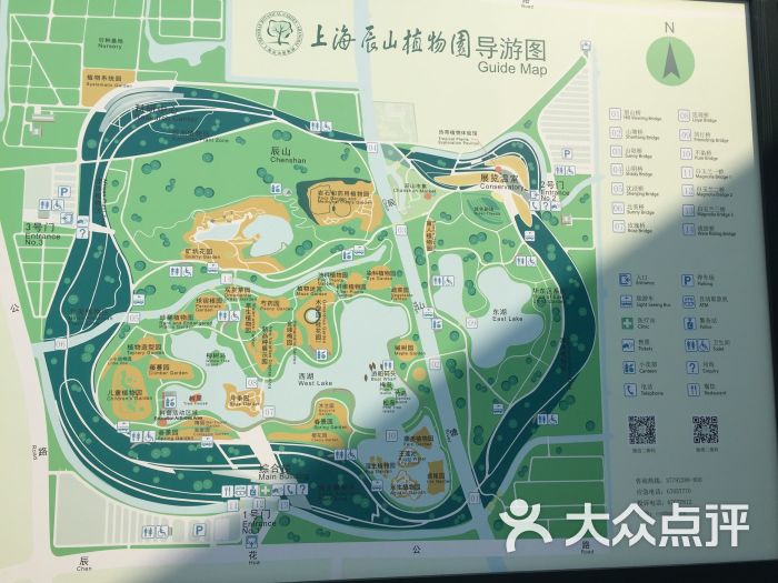 上海植物园郁金香花卉_手绘