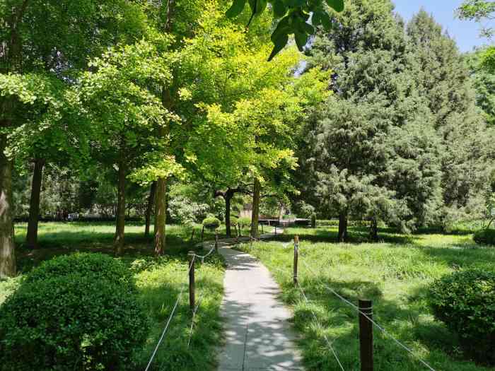 香河园公园-"东城区香河园口袋公园内,绿意盎然,鲜花.