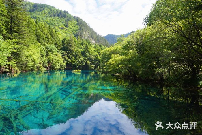 九寨沟风景区-图片-九寨沟县周边游-大众点评网