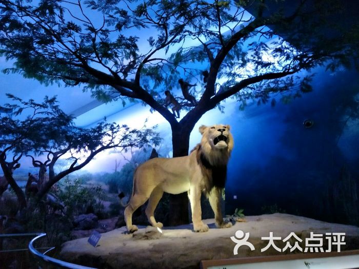 天津自然博物馆图片 第2张