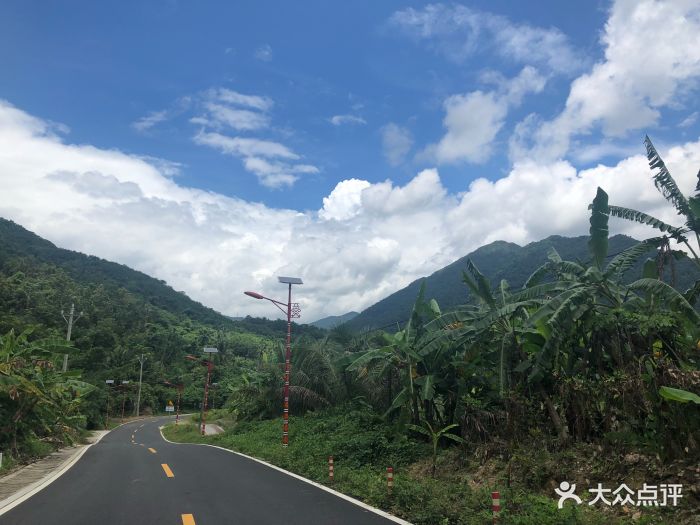 吊罗山国家森林公园-图片-陵水周边游-大众点评网