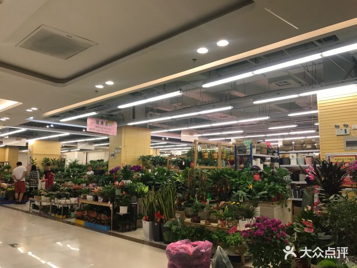 陈寨花卉(大学路店-图片-郑州购物-大众点评网