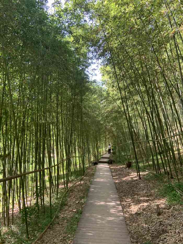西安鲸鱼沟竹海风景区