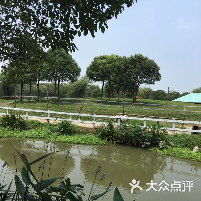 星期九休闲生态农庄