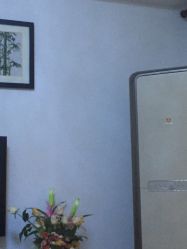 城大灯具城地址,电话,营业时间(图)-上海