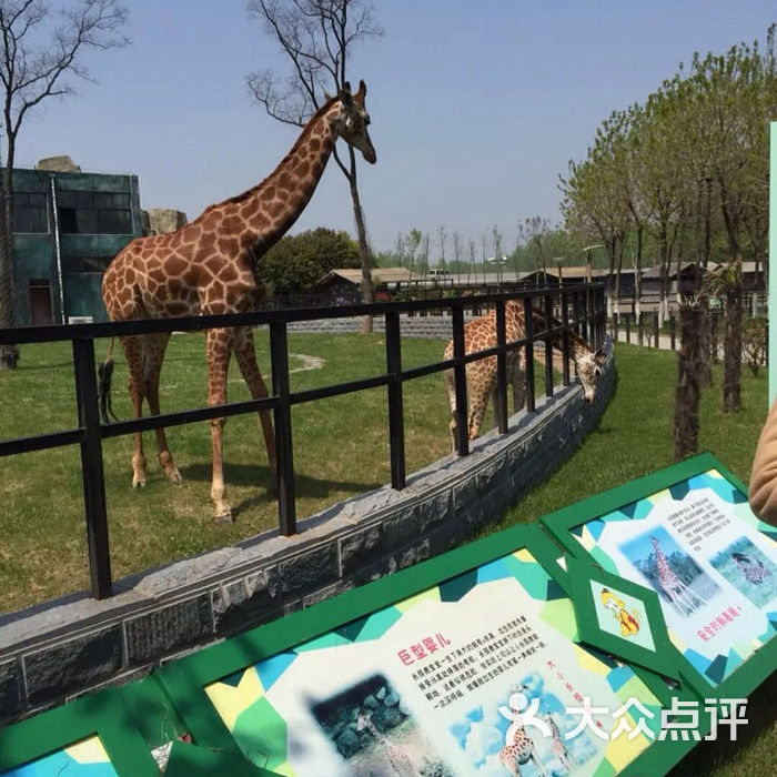 淮安市生态动物园淮安动物园图片-北京动物园-大众