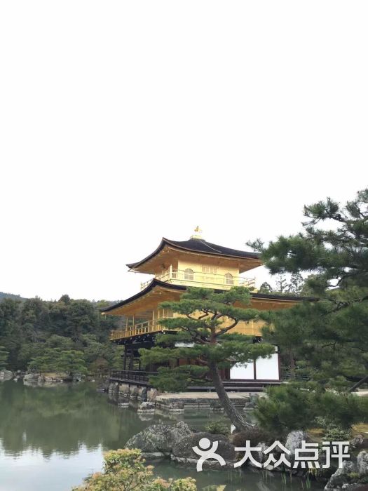 鹿苑寺-图片-日本景点