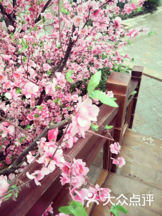 国信南山温泉酒店-图片-长春景点